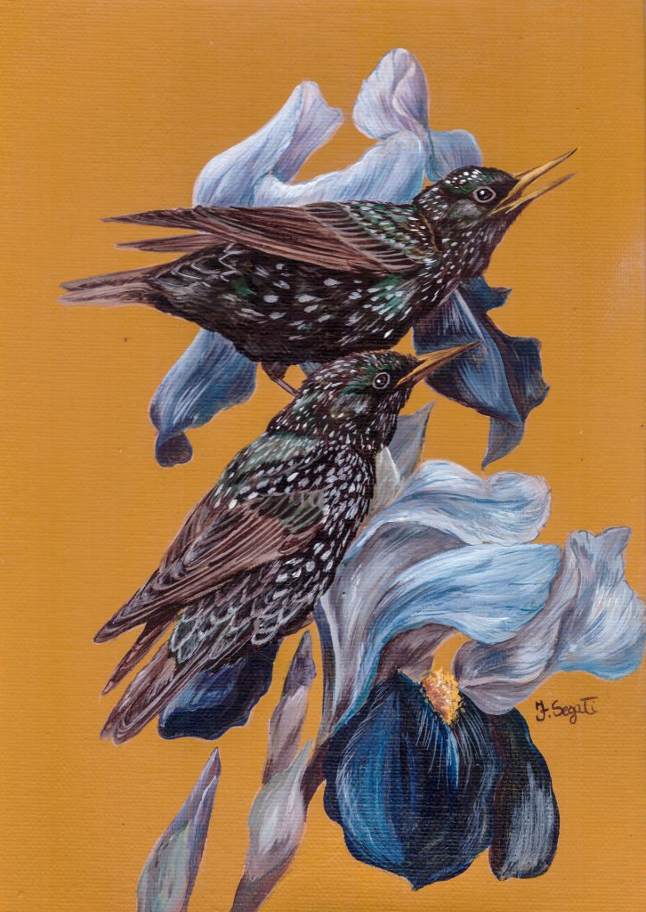works-quadri